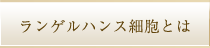 ランゲルハンス細胞とは