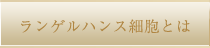 ランゲルハンス細胞とは